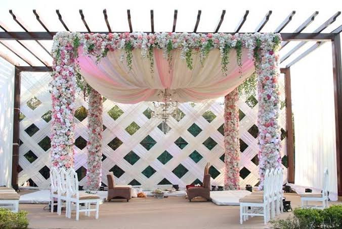 Prani Decor 15+ Years Experience